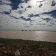 Illustration for article titled AWOL Around Australia... The Flooded Desert